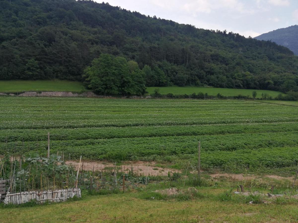 B&B Nonno Carlo Trente Buitenkant foto