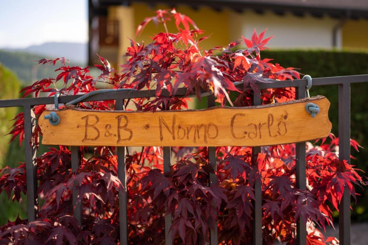 B&B Nonno Carlo Trente Buitenkant foto